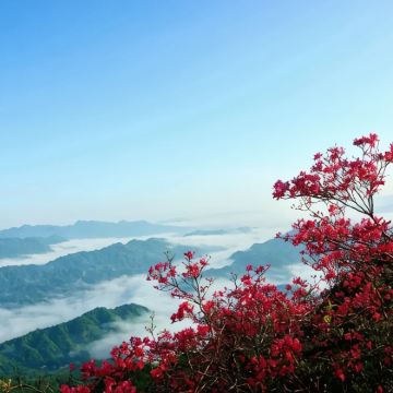 安徽金寨+天堂寨+六安市金寨县马鬃岭风景区+梅山水库风景区3日2晚私家团