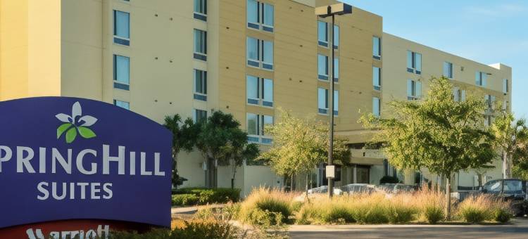 坦帕北/坦帕棕榈万豪SpringHill酒店(SpringHill Suites Tampa North/I-75 Tampa Palms)图片
