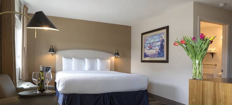 旧金山焦点酒店(Hotel Focus SFO)图片