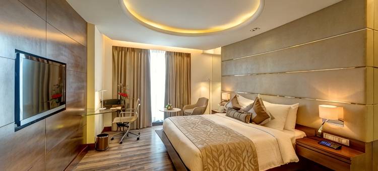 印度国际酒店(The Hotel Hindusthan International)图片