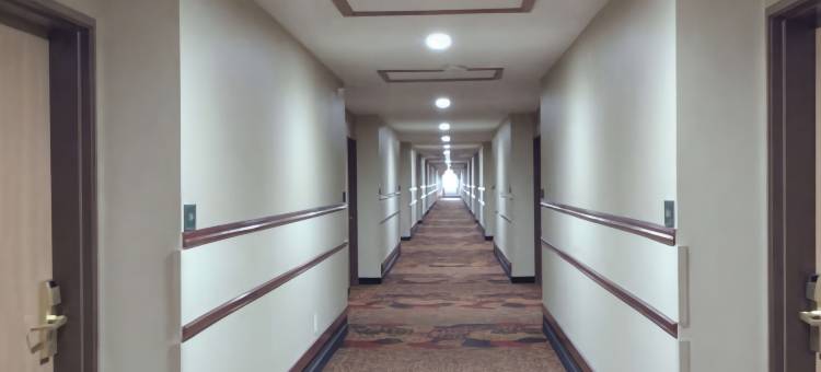 I-74 及 155 舒适套房酒店(Comfort Inn & Suites at I-74 and 155)图片