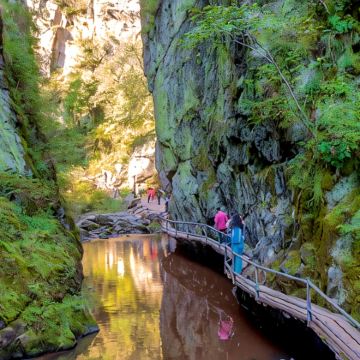 哈尔滨+五大连池市+伊春4日3晚跟团游