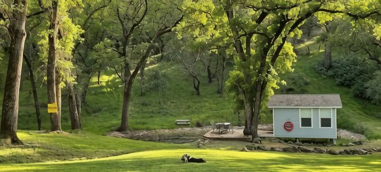 占地5英亩温馨家庭旅馆(Cozy Guesthouse on 5 acres)图片