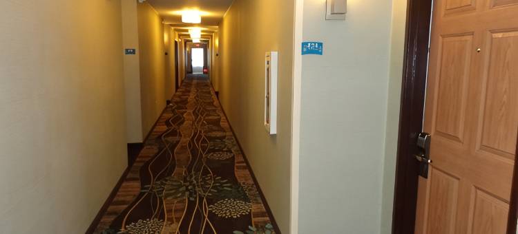 Staybridge Suites CO弹簧 - 空军学院(Staybridge Suites COLORADO SPRINGS NORTH by IHG)图片