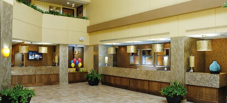 奥兰多莱克布埃纳维斯塔希尔顿逸林套房酒店(DoubleTree Suites by Hilton Orlando - Disney Springs™ Area)图片