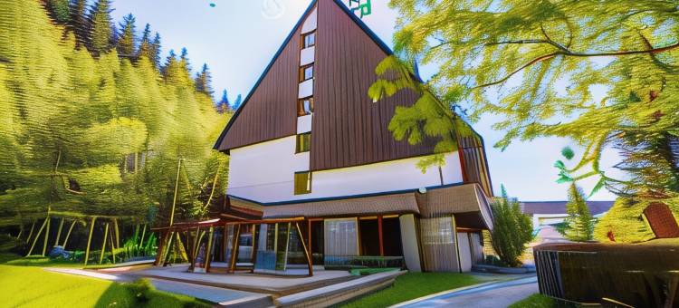 哈拉迟沃帕克酒店(Parkhotel Harrachov)图片