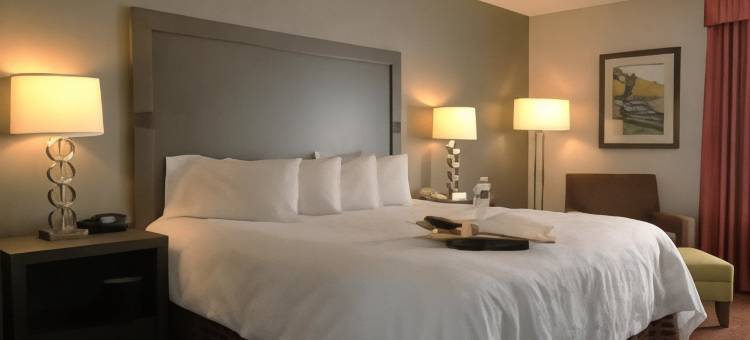 希尔顿欢朋酒店-杜兰戈(Hampton Inn Durango)图片