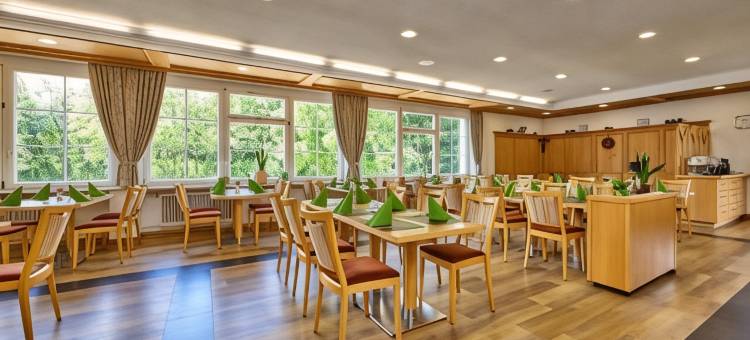 Aura酒店绍尔格鲁布(Aura-Hotel Saulgrub)图片