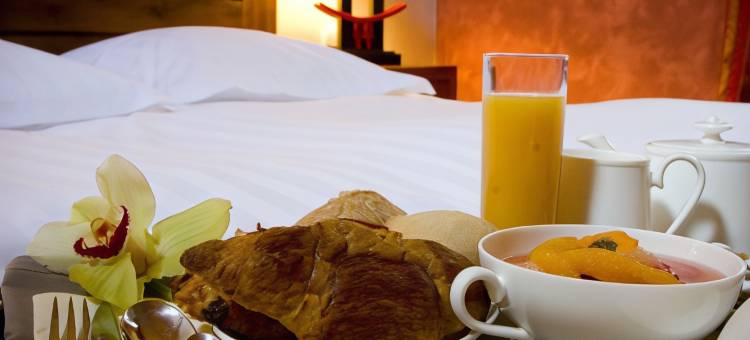 印度庄园原生酒店(Manoir des Indes, the Originals Relais)图片