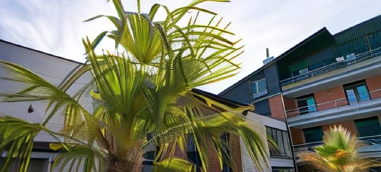 特鲁瓦森奥公寓酒店(Zenao Appart'hôtels Troyes)图片