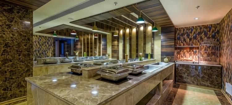 凯隆酒店(Golden Tulip Kukas Jaipur)图片