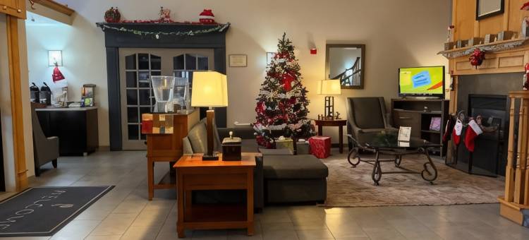 拉蒂森肯诺沙 - 愉快的草原乡村酒店套房(Country Inn & Suites by Radisson Kenosha - Pleasant Prairie)图片