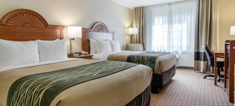 大本德温德姆速8酒店(Super 8 by Wyndham Great Bend)图片