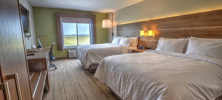 Holiday Inn Express ROCHELLE by IHG图片