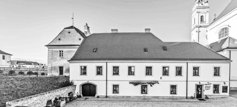 塞雷特酒店(Hotel Salety)图片