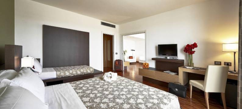 尤里卡皇宫酒店温泉度假村(Eureka Palace Hotel Spa Resort)图片