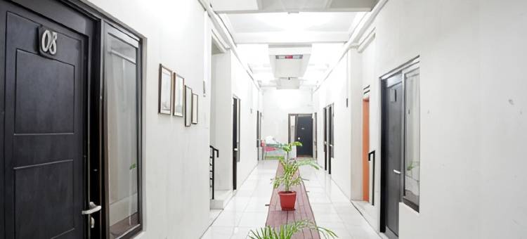 Dparagon 德维科拉(Dparagon Dwikora)图片