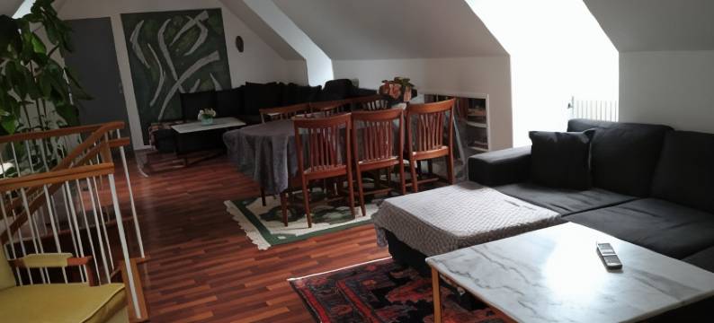 西格内道尔别墅青年旅舍(Villa Signedal Hostel)图片