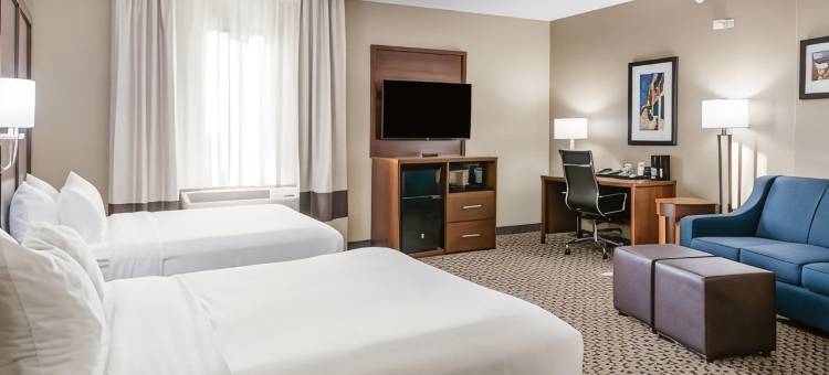斯托克顿堡舒适套房酒店(Comfort Suites)图片