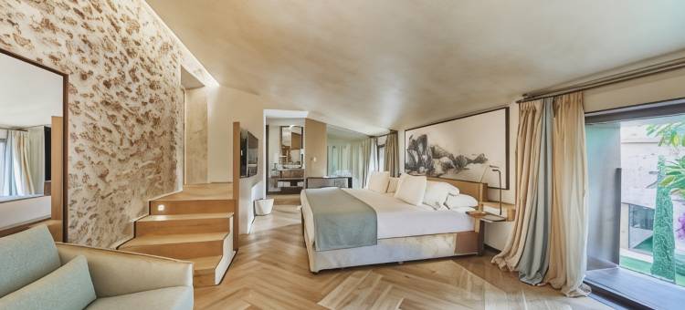 克鲁新小宫殿艺术 Spa 酒店(Sa Creu Nova Petit Palais Art & Spa)图片