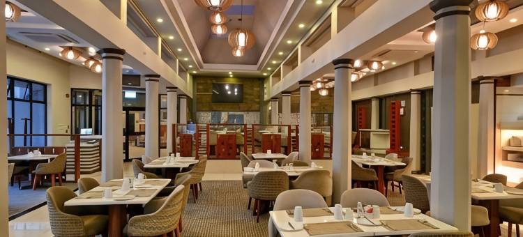 哈拉雷假日酒店(Holiday Inn Harare)图片