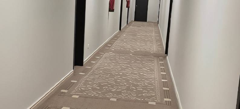 德沃拉克酒店(Hotel Dvorak)图片