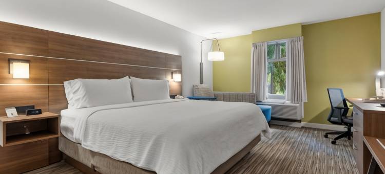 智选假日套房酒店萨里(Holiday Inn Express & Suites Surrey)图片