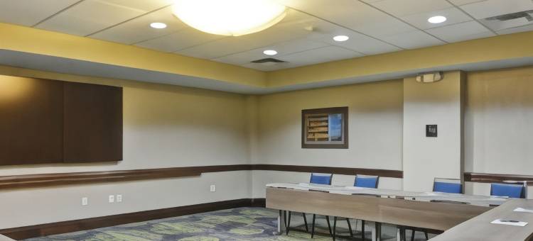 休斯顿商业街附近Homewood酒店(Homewood Suites by Hilton Houston Near the Galleria)图片