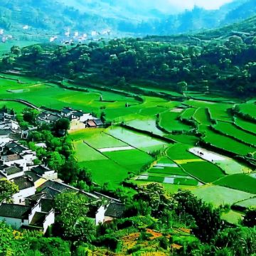 宏村+婺源2日1晚跟团游