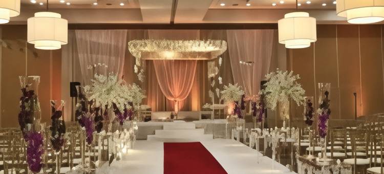 芝加哥内帕维希尔顿安泊酒店(Embassy Suites by Hilton Chicago Naperville)图片