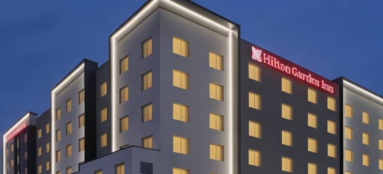 奥斯汀北希尔顿花园酒店-近Domain购物中心(Hilton Garden Inn Austin North-Near the Domain)图片