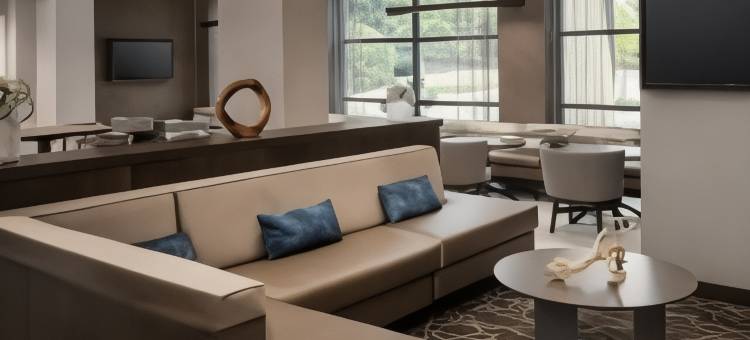 亚特兰大周界中心万豪SpringHill Suites酒店(SpringHill Suites Atlanta Perimeter Center)图片