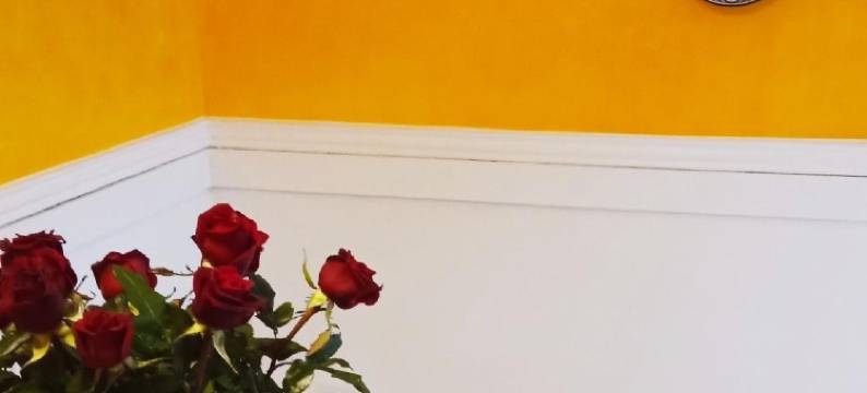 赫克列克摩洛哥传统庭院住宅(Riad Heklek)图片