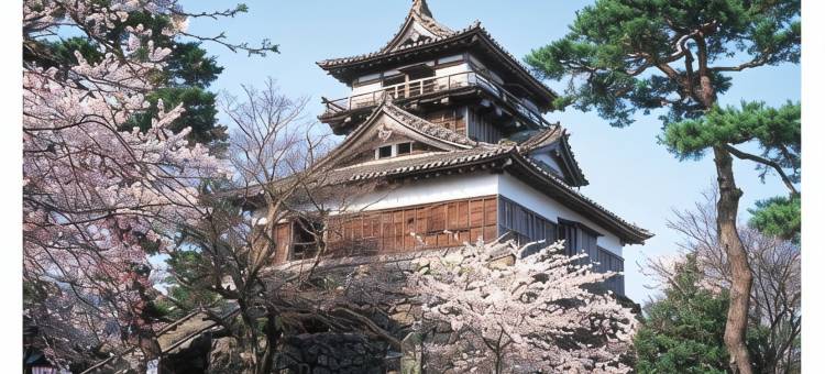 露樱酒店福井大和田店(Hotel Route-Inn Fukui Owada)图片