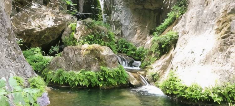 拉斯马拉维利亚斯乡村住宿(Alojamiento Rural Las Maravillas)图片