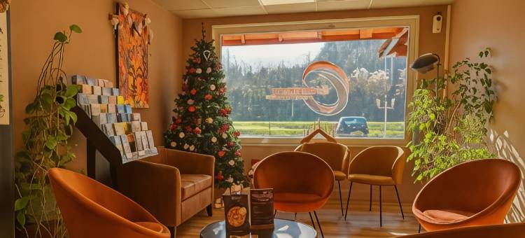 米卢斯东原创城市酒店(The Originals City, Hôtel Mulhouse Est, Ile Napoleon)图片