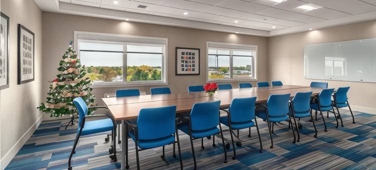 布兰顿智选假日套房酒店(Holiday Inn Express & Suites Brandon)图片