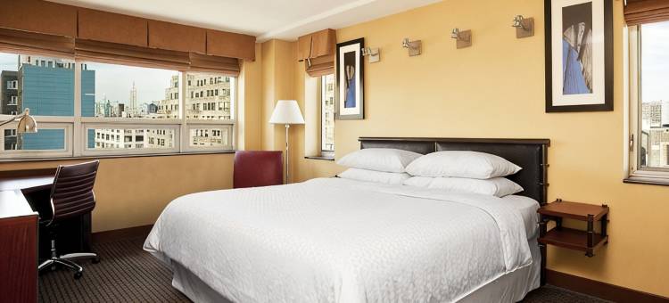 曼哈顿苏荷村福朋喜来登酒店(Four Points by Sheraton Manhattan SoHo Village)图片