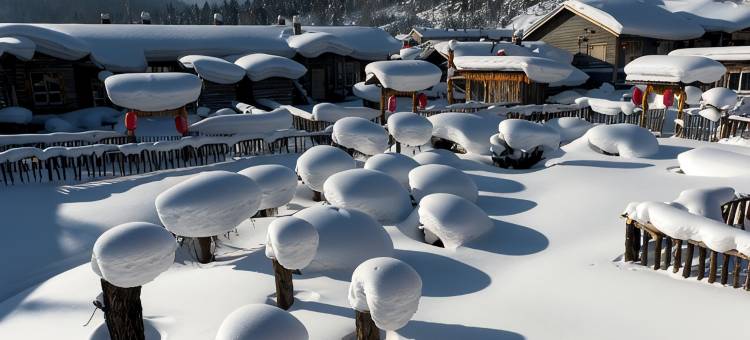 大冻梨民宿(中国雪谷风景区店)图片