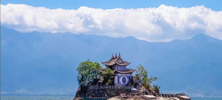 大理品茶民宿(才村码头洱海生态廊道店)图片