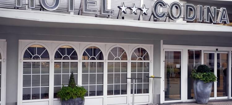 塞尔科特尔科迪纳酒店(Sercotel Codina)图片