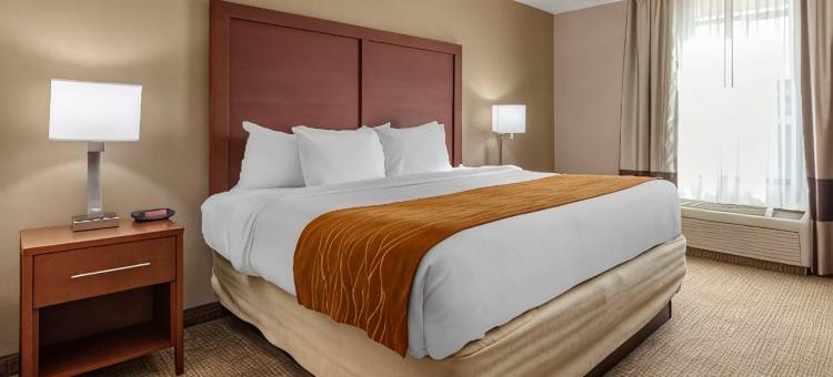 史密斯菲尔德 I-95 附近舒适酒店(Comfort Inn Smithfield Near I-95)图片
