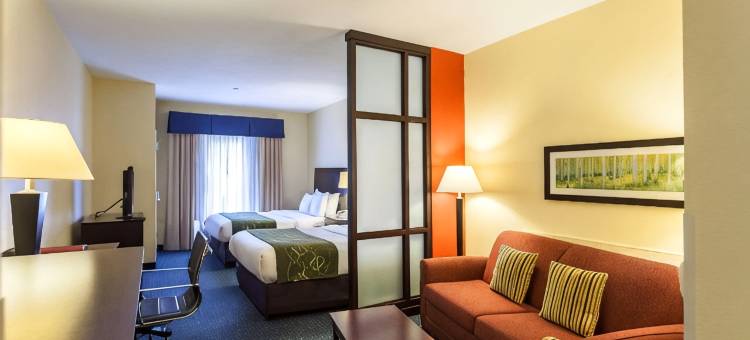 林肯东舒适套房酒店-购物区(Comfort Suites East Lincoln - Mall Area)图片