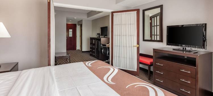 阿宾登岛凯艺套房酒店(Quality Inn & Suites)图片