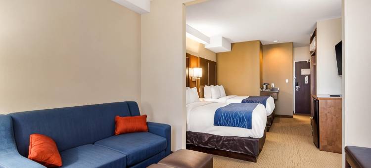梅迪辛哈特舒适套房酒店(Comfort Inn & Suites)图片