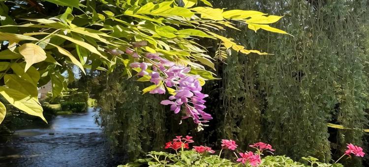 Retreat in Bligny-sur-Ouche图片