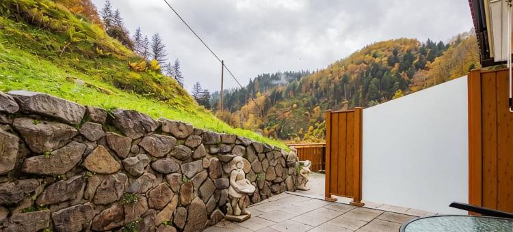 布鲁姆旅馆(Hotel - Gasthof Blume)图片