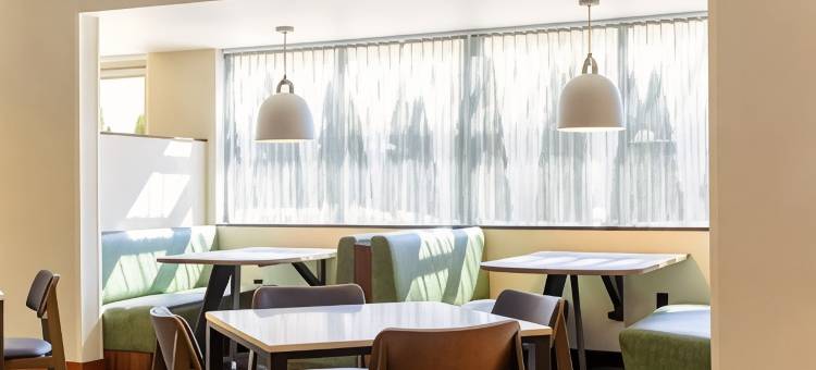 斯普林菲尔德北安普敦/阿默斯特万枫酒店(Fairfield Inn & Suites Springfield Northampton/Amherst)图片