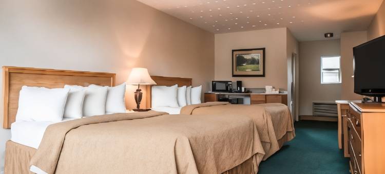 匹兹堡机场凯艺酒店(Quality Inn Pittsburgh Airport)图片