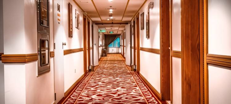 麗兹阿尔马地纳酒店(Al Ritz Al Madinah)图片